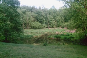 Union position looking to the West over beaver Dam Creek
