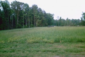 Battle of Gaine's Mill