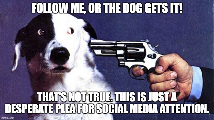 The Dog gets it! Follow me on social media!